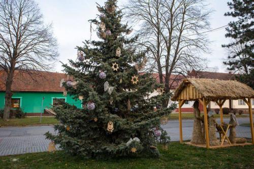 Setkání u vánočního stromu 2019